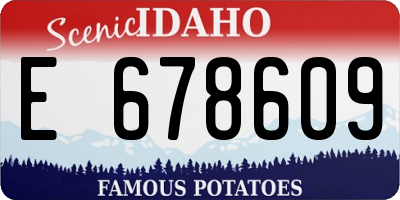 ID license plate E678609
