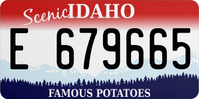 ID license plate E679665