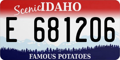 ID license plate E681206