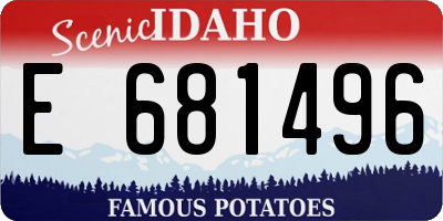 ID license plate E681496