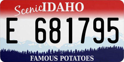 ID license plate E681795