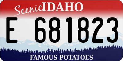ID license plate E681823