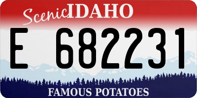 ID license plate E682231