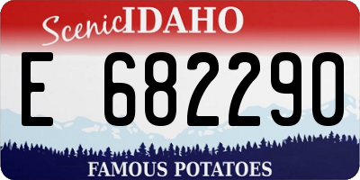ID license plate E682290