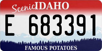 ID license plate E683391