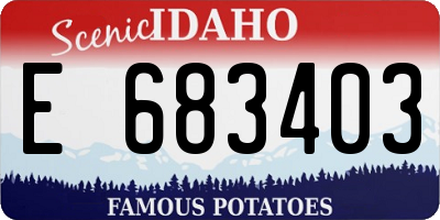 ID license plate E683403