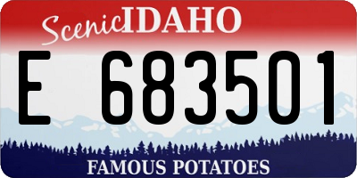 ID license plate E683501