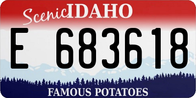 ID license plate E683618