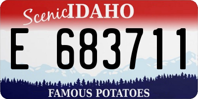 ID license plate E683711