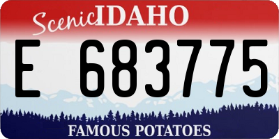 ID license plate E683775
