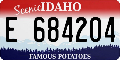 ID license plate E684204