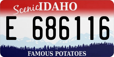 ID license plate E686116