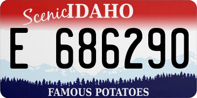 ID license plate E686290