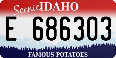 ID license plate E686303