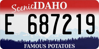 ID license plate E687219
