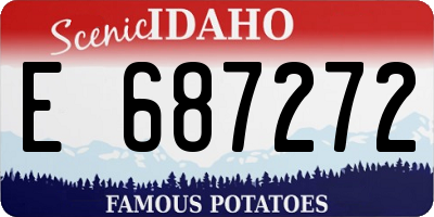 ID license plate E687272