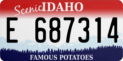 ID license plate E687314