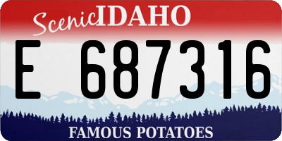 ID license plate E687316