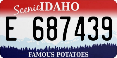 ID license plate E687439