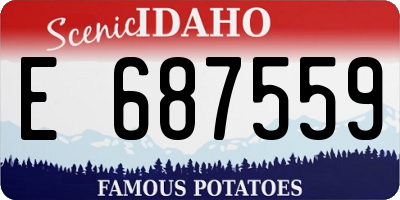 ID license plate E687559