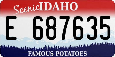 ID license plate E687635