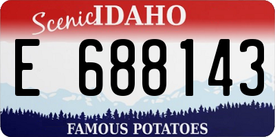 ID license plate E688143