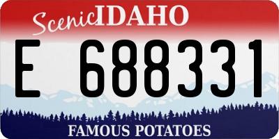 ID license plate E688331