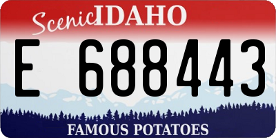 ID license plate E688443