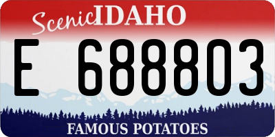 ID license plate E688803