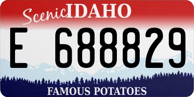ID license plate E688829