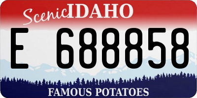 ID license plate E688858