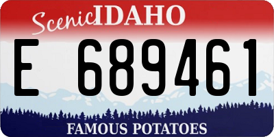 ID license plate E689461