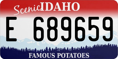 ID license plate E689659