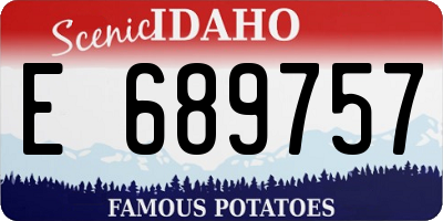 ID license plate E689757