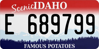ID license plate E689799