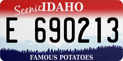 ID license plate E690213