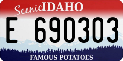 ID license plate E690303