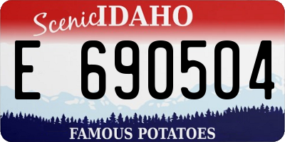 ID license plate E690504