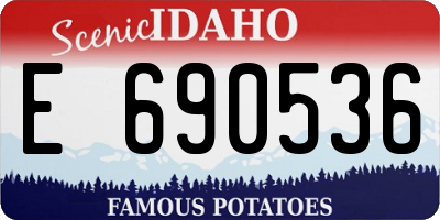 ID license plate E690536