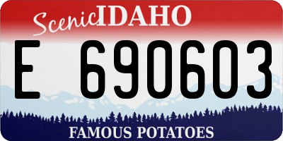 ID license plate E690603
