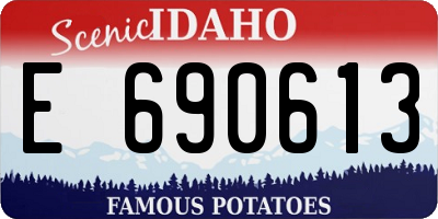 ID license plate E690613