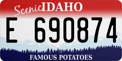 ID license plate E690874