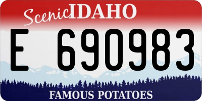 ID license plate E690983