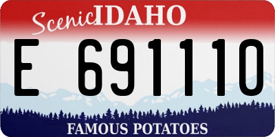 ID license plate E691110