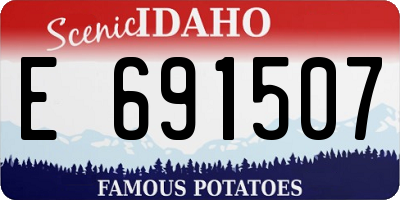 ID license plate E691507