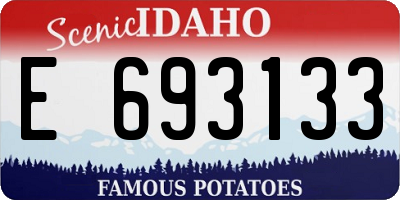 ID license plate E693133