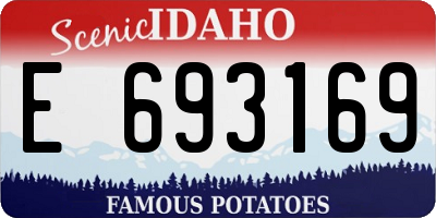 ID license plate E693169