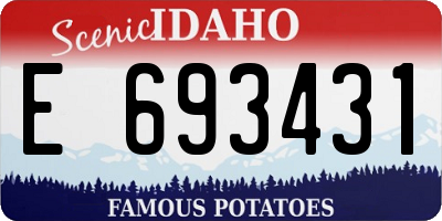 ID license plate E693431