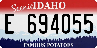 ID license plate E694055
