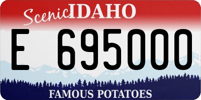 ID license plate E695000
